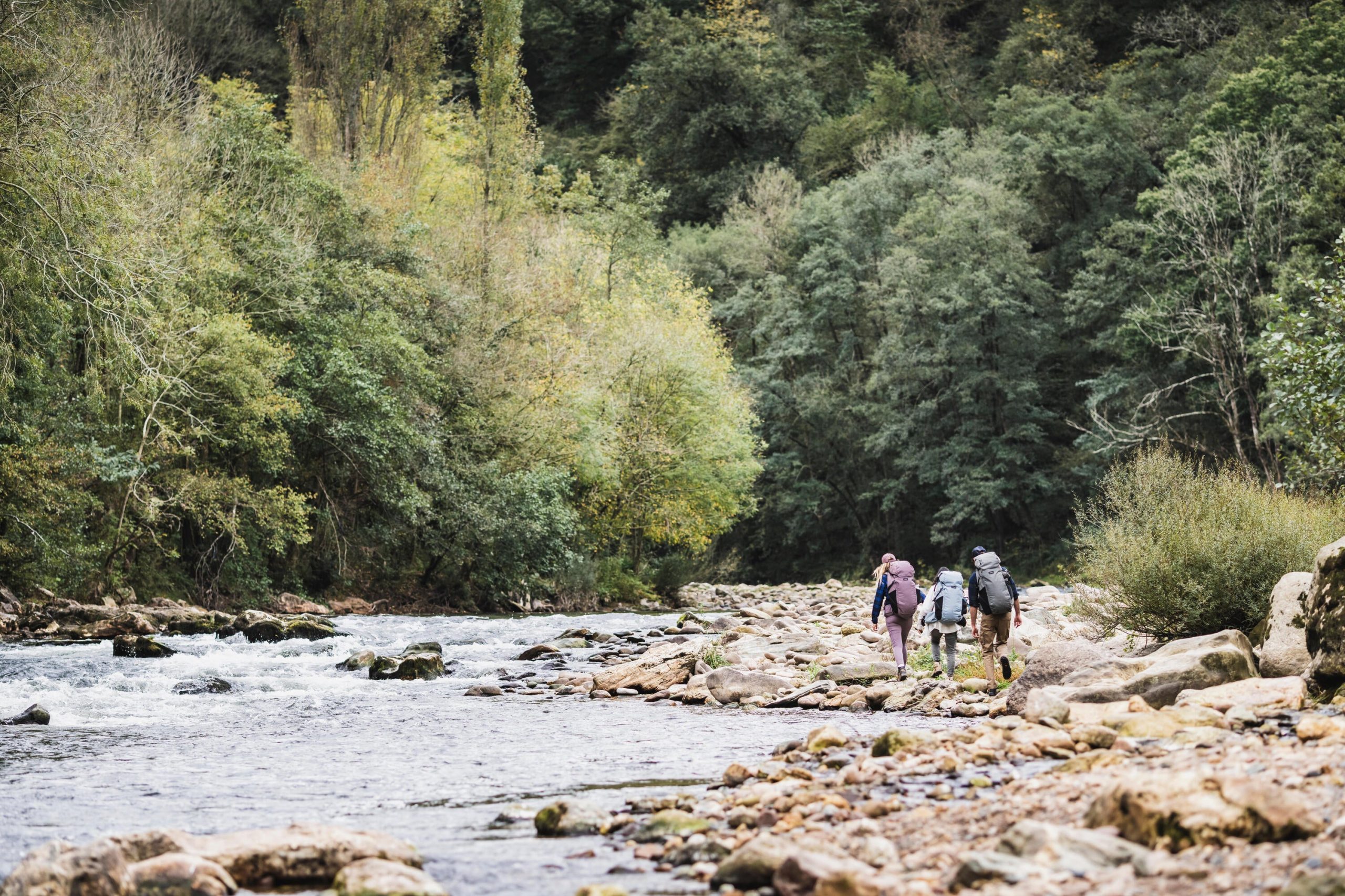 Forclaz Men's Travel 900 50+6 L Backpacking Pack - Image 15